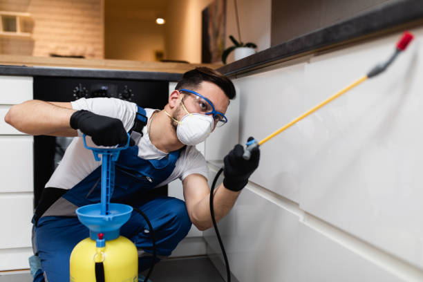 Trusted Hyde Park, UT Pest Control Experts