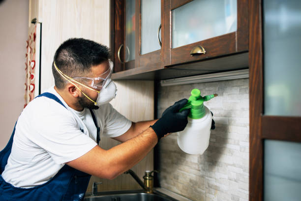 Best Affordable Pest Control Services  in Hyde Park, UT