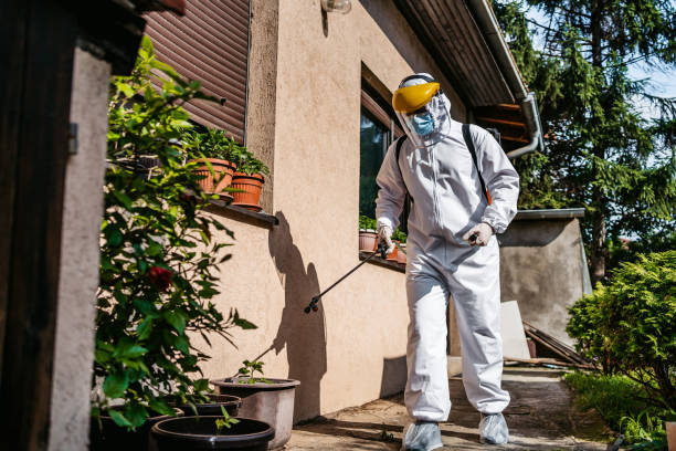 Best Exterminator Services  in Hyde Park, UT