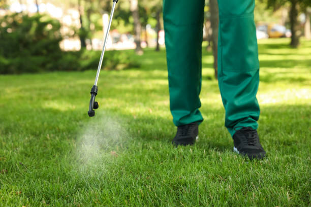 Best Emergency Pest Control  in Hyde Park, UT