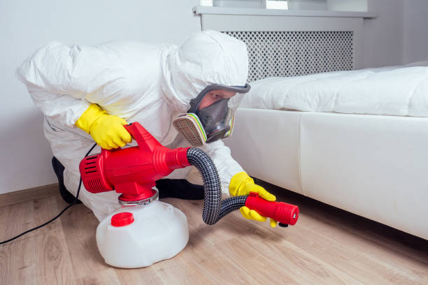 Best Pest Removal Services  in Hyde Park, UT
