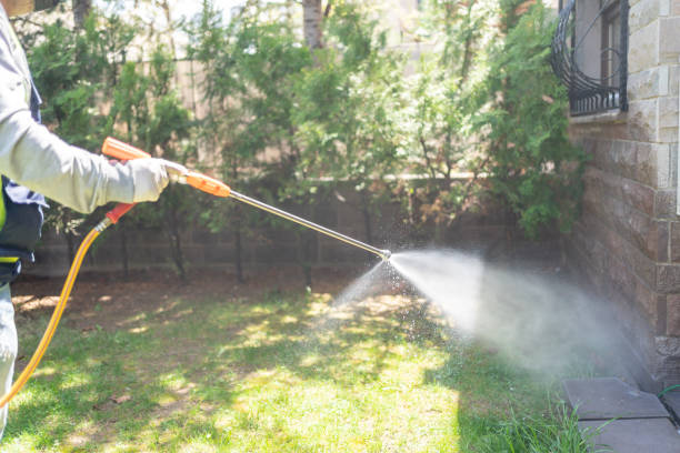 Best Affordable Pest Control Services  in Hyde Park, UT