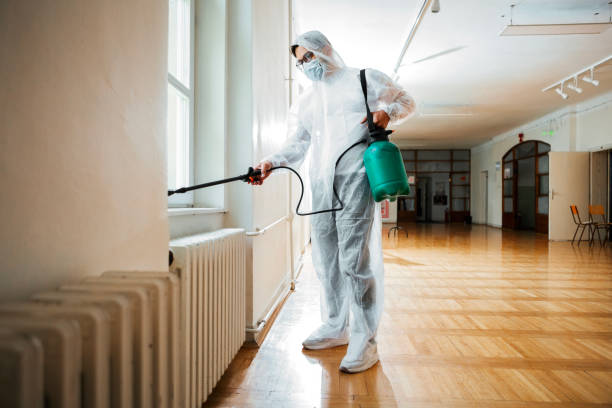 Best Pest Removal Services  in Hyde Park, UT