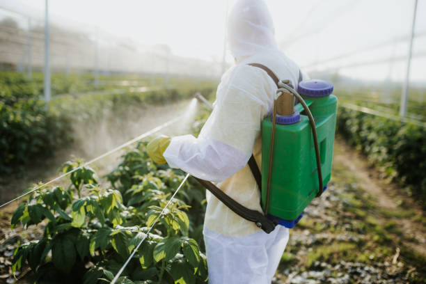 Best Best Pest Control Companies  in Hyde Park, UT